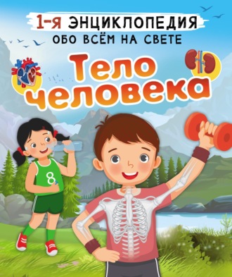 Обложка книги «Тело человека»