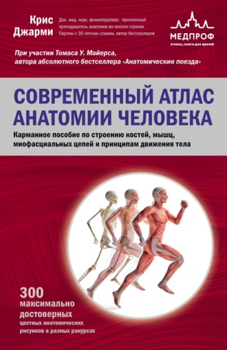 Обложка книги «Современный атлас анатомии человека. Карманное пособие по строению костей, мышц, миофасциальных цепей и принципам движения тела»