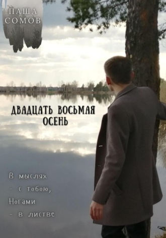 Обложка книги «Двадцать восьмая осень»