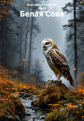 . Белая Сова