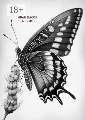 Обложка книги «Сны о мире»