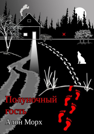 Обложка книги «Полуночный гость»