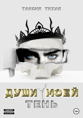 Обложка книги «Души моей тень»