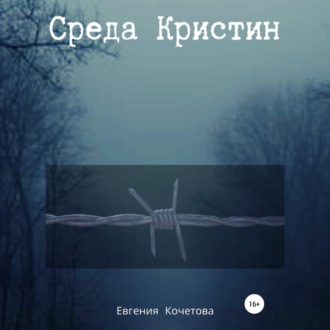 Обложка книги «Среда Кристин»