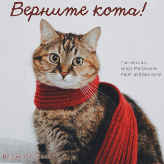 Обложка книги «Верните кота»