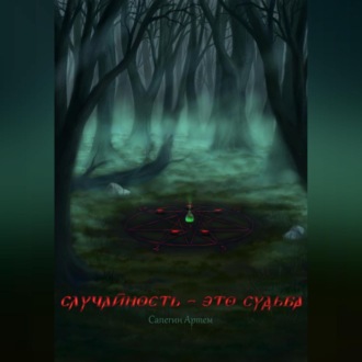 Обложка книги «Случайность это – судьба»