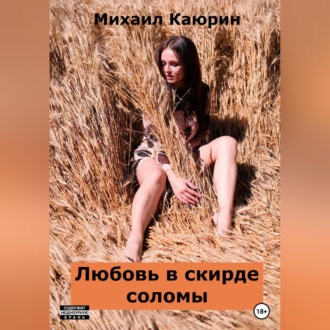 Обложка книги «Любовь в скирде соломы»