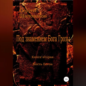 Обложка книги «Под знамением Бога Грозы. Книга вторая. Месть Богов»