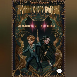 Обложка книги «Хроники юного колдуна: Земляная кошка»