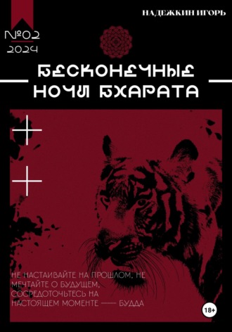 Обложка книги «Бесконечные ночи Бхарата»