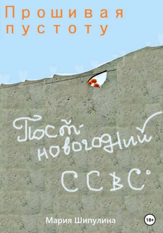 Обложка книги «Прошивая пустоту. Постновогодний ССВС»
