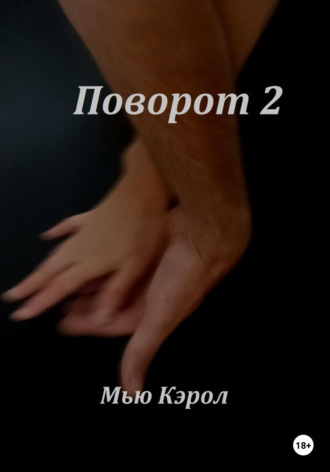Обложка книги «Поворот 2»