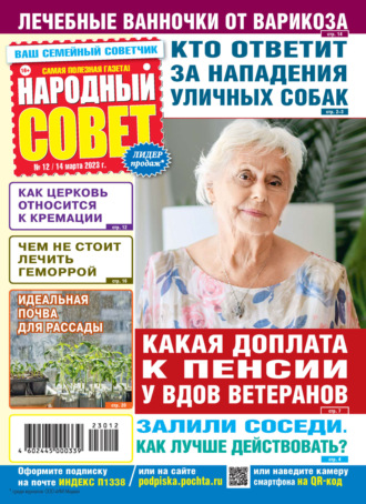Обложка книги «Народный совет №12/2023»