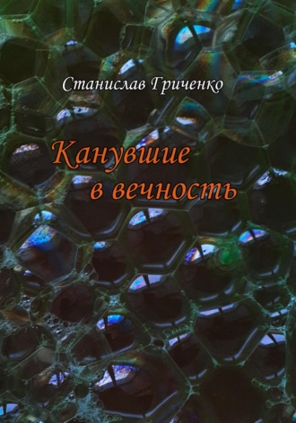Обложка книги «Канувшие в вечность»