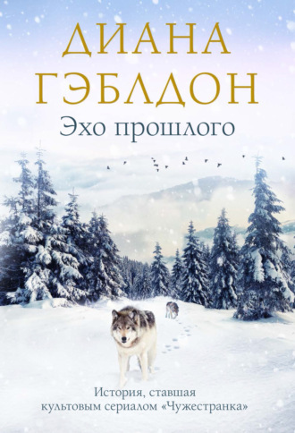 Обложка книги «Эхо прошлого»
