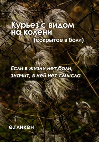 Обложка книги «Курьез с видом на колени (сокрытое в боли)»