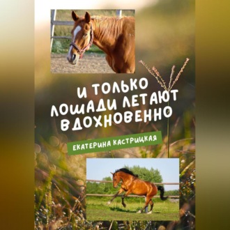 Обложка книги «И только лошади летают вдохновенно»