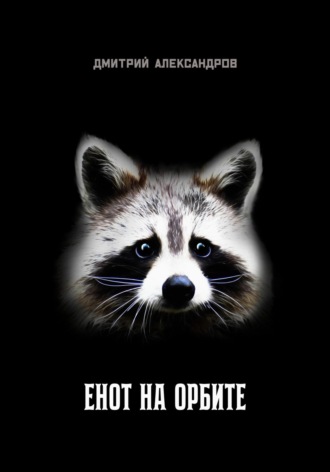 Обложка книги «Енот на орбите»