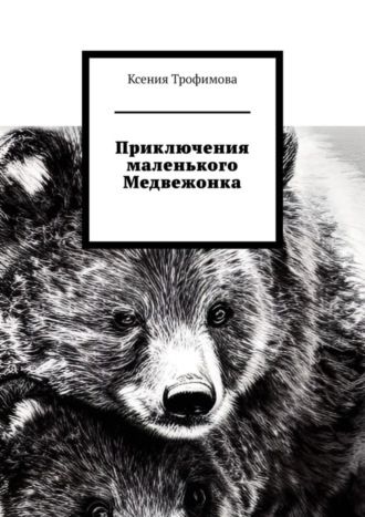 Обложка книги «Приключения маленького медвежонка»