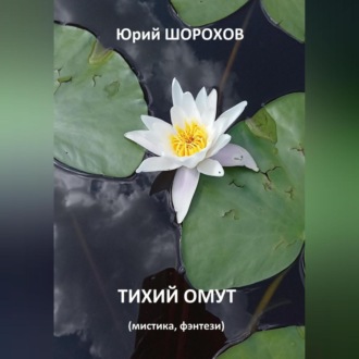 Обложка книги «Тихий омут»