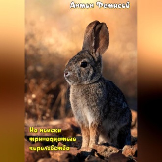 Обложка книги «На поиски тринадцатого королевства»