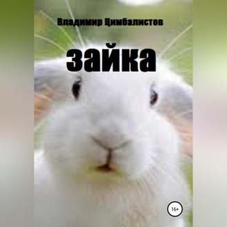 Обложка книги «Зайка»