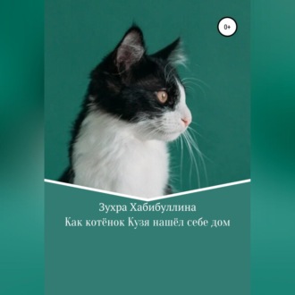 Обложка книги «Как котёнок Кузя нашёл себе дом»