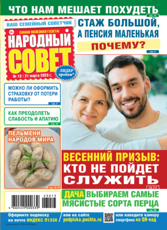 Обложка книги «Народный совет №13/2023»