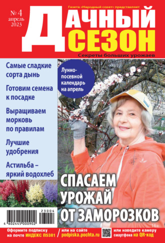 Обложка книги «Дачный сезон №04/2023»