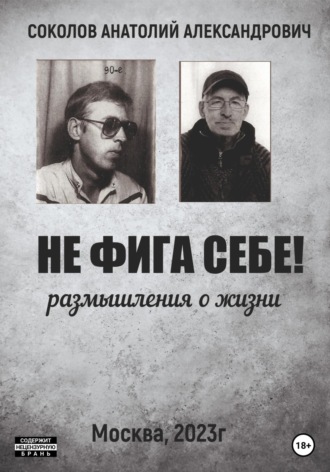 Обложка книги «Не фига себе! Размышления о жизни»