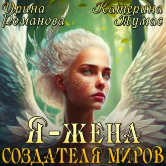 Обложка книги «Я – жена создателя миров»