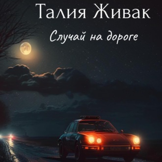 Обложка книги «Случай на дороге»
