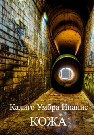Обложка книги «Кожа»