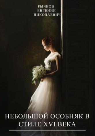 Обложка книги «Небольшой особняк в стиле XVI века (Не мертвые души)»