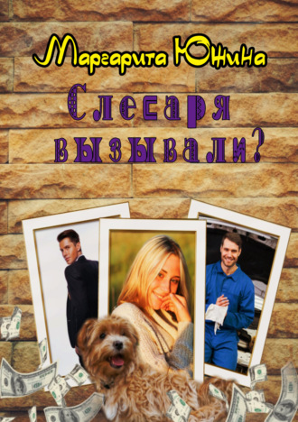 Обложка книги «Слесаря вызывали?»