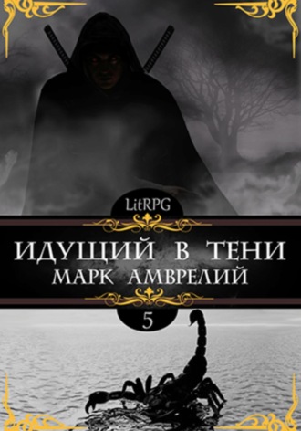 Обложка книги «Идущий в тени 5»
