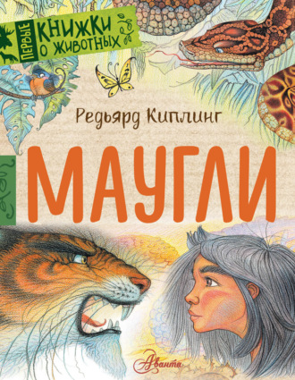 Обложка книги «Маугли»