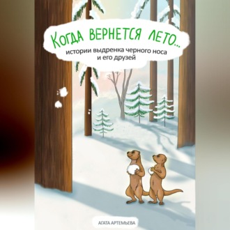 Обложка книги «Когда вернется лето…»