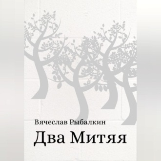 Обложка книги «Два Митяя»