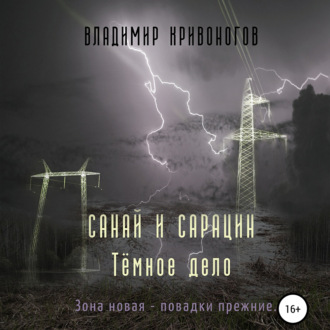 Обложка книги «Санай и Сарацин. Темное дело»