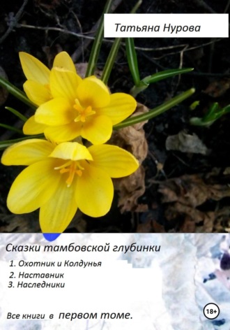Обложка книги «Сказки тамбовской глубинки. Том первый»