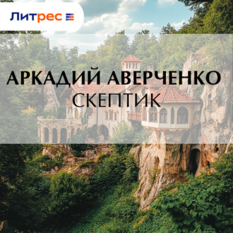 Обложка книги «Скептик»