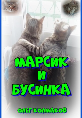 Обложка книги «Марсик и Бусинка»