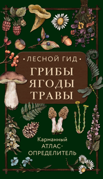 Людмила Семенова. Лесной гид: грибы, ягоды, травы. Карманный атлас-определитель