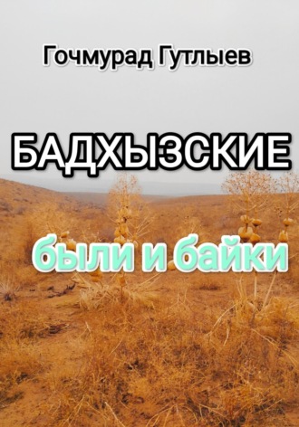 Обложка книги «Бадхызские были и байки»
