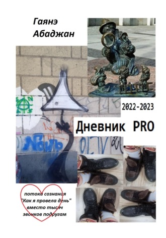 Обложка книги «Дневник PRO»