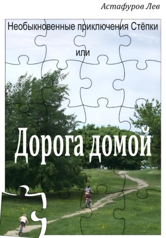 Обложка книги «Необыкновенные приключения Стёпки, или Дорога домой»