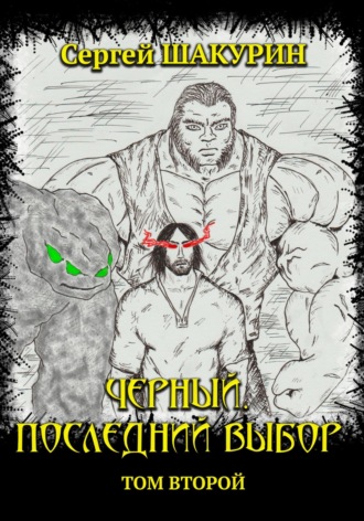 Обложка книги «Черный. Последний выбор. Том второй»