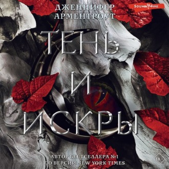 Обложка книги «Тень и искры»