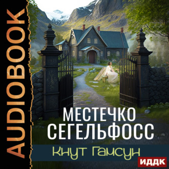 Обложка книги «Местечко Сегельфосс»
